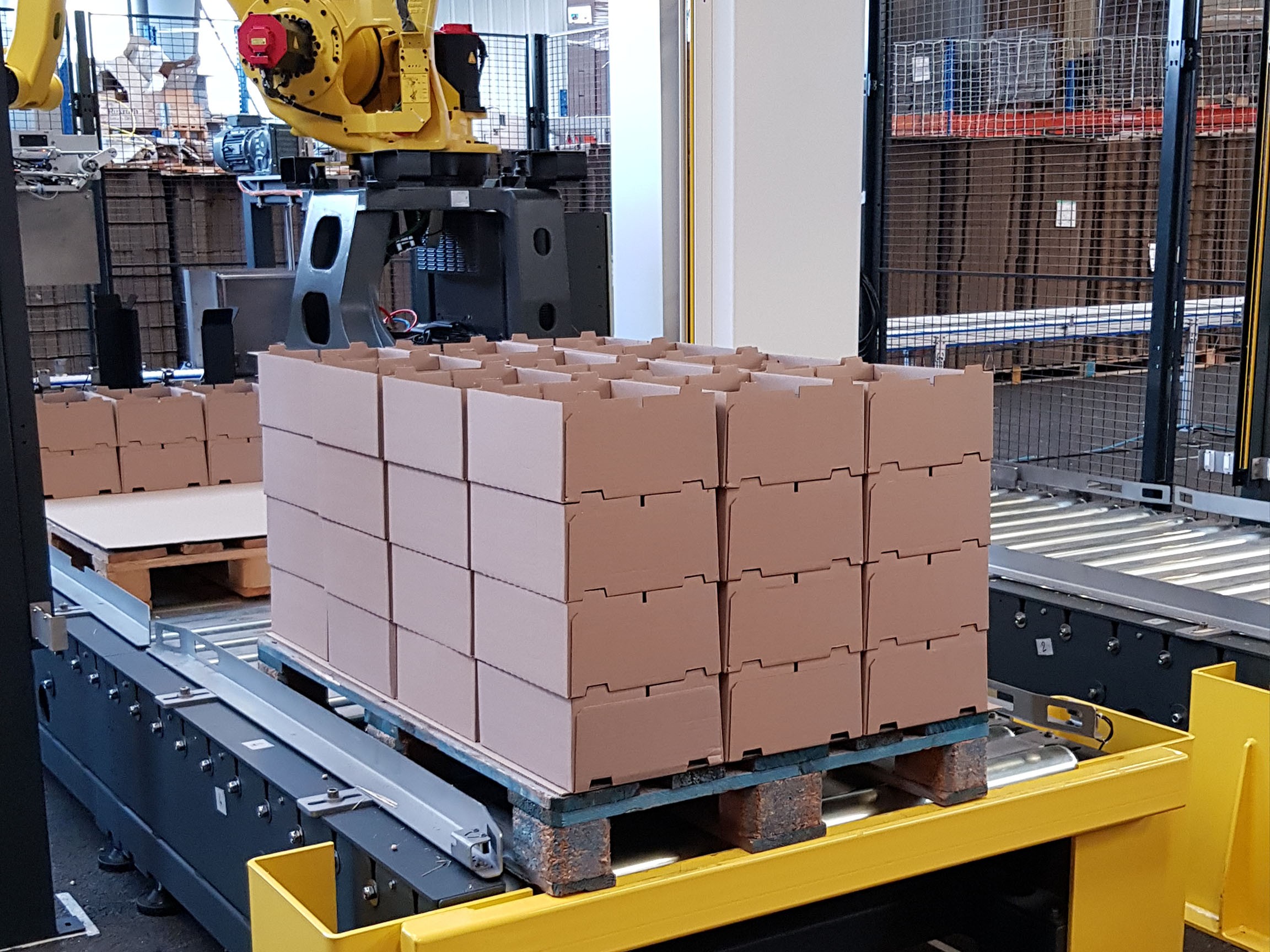 MG Tech robotic palletizer